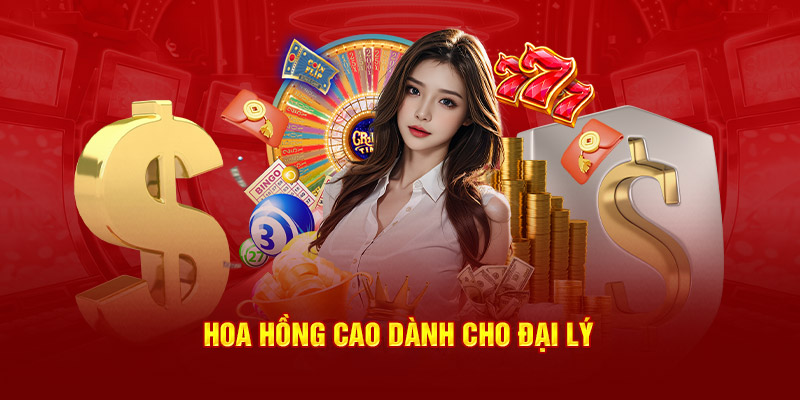 Hoa hồng cao dành cho đại lý